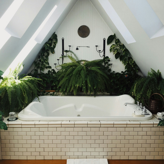 Sustainable and Eco-Friendly Bathroom Design Ideas